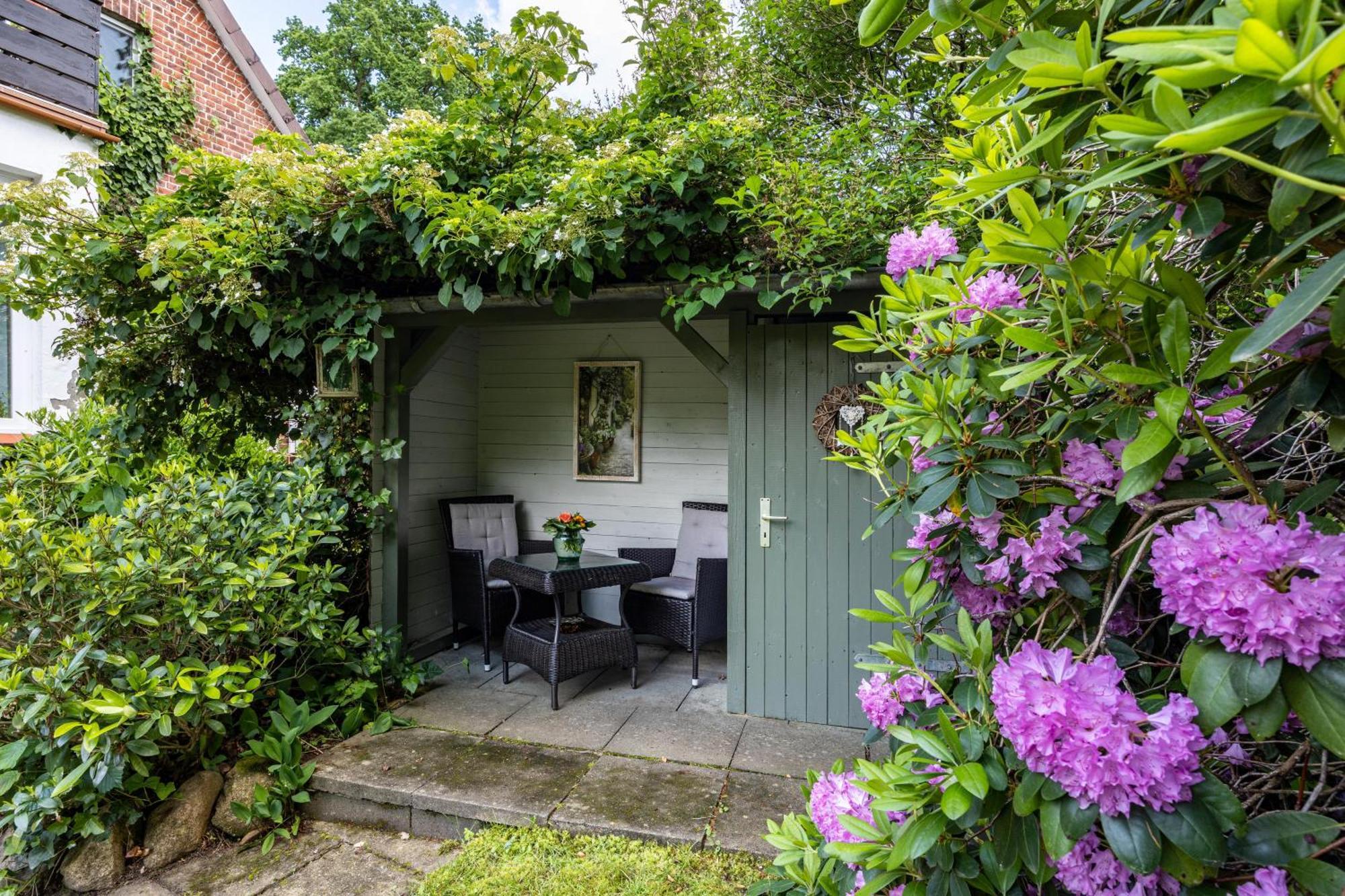 Ferienwohnung Abendsonne Bendestorf Exteriér fotografie